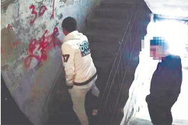 曲麻莱要债公司